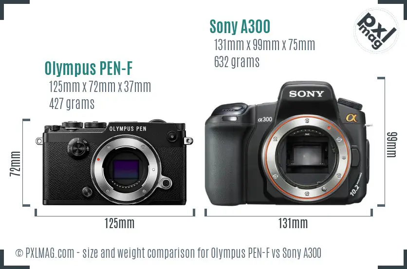 Olympus PEN-F vs Sony A300 size comparison