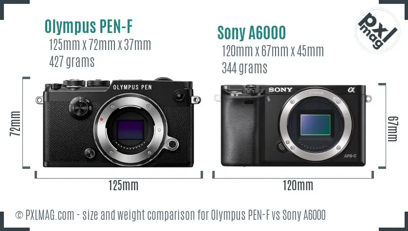 Olympus PEN-F vs Sony A6000 size comparison