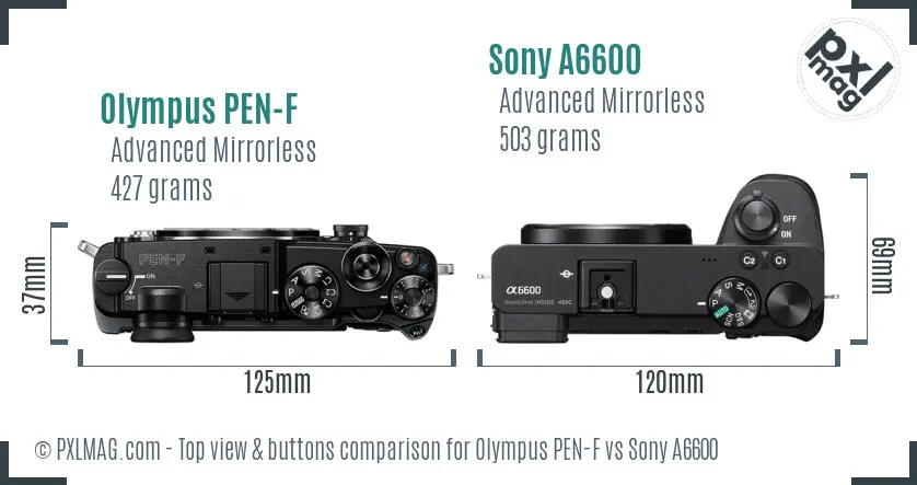 Olympus PEN-F vs Sony A6600 top view buttons comparison