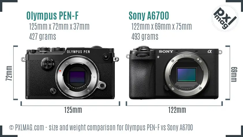 Olympus PEN-F vs Sony A6700 size comparison