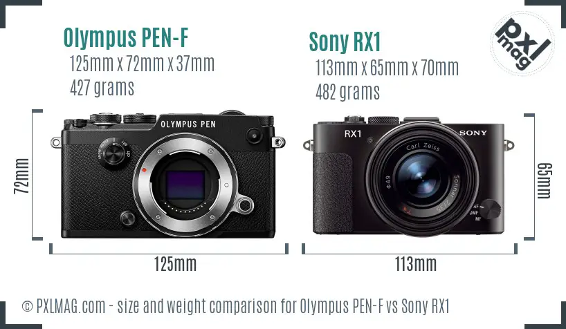 Olympus PEN-F vs Sony RX1 size comparison