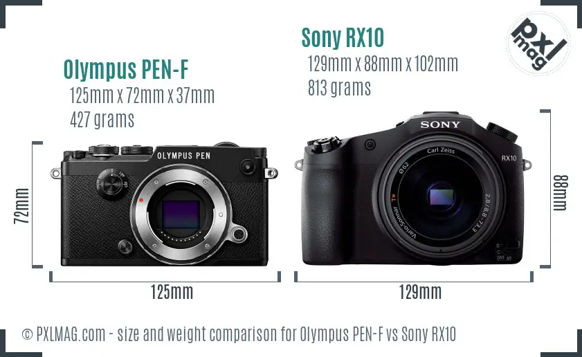 Olympus PEN-F vs Sony RX10 size comparison