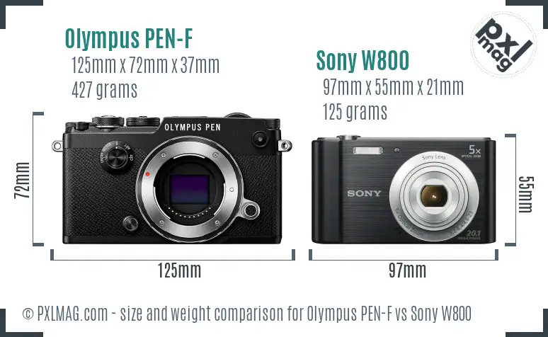 Olympus PEN-F vs Sony W800 size comparison