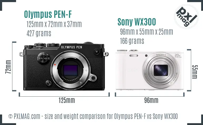 Olympus PEN-F vs Sony WX300 size comparison