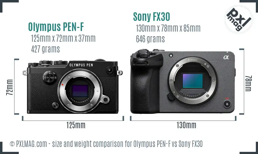 Olympus PEN-F vs Sony FX30 size comparison