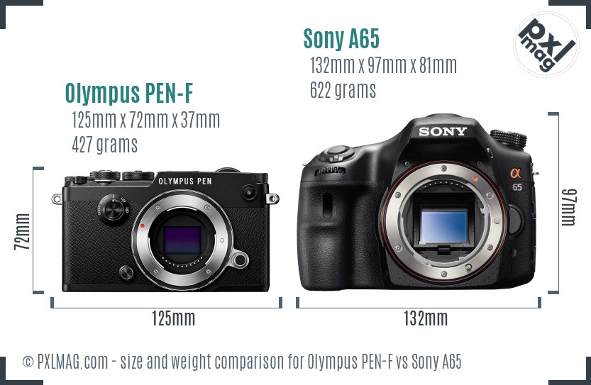 Olympus PEN-F vs Sony A65 size comparison