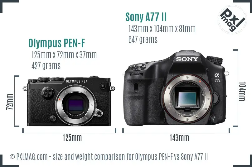 Olympus PEN-F vs Sony A77 II size comparison