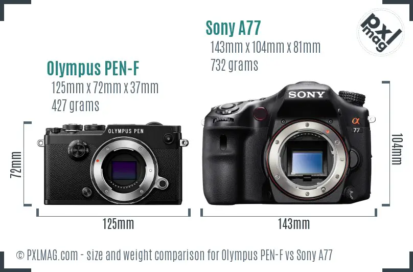 Olympus PEN-F vs Sony A77 size comparison