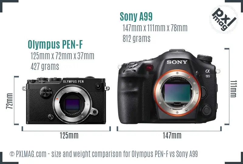 Olympus PEN-F vs Sony A99 size comparison