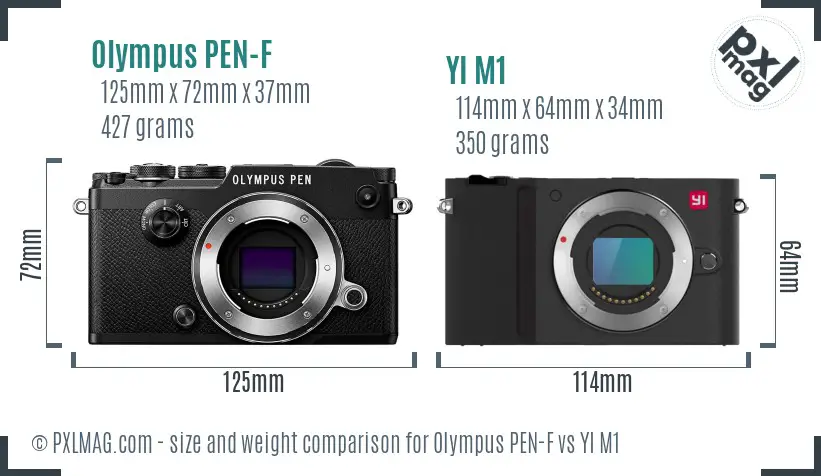 Olympus PEN-F vs YI M1 size comparison