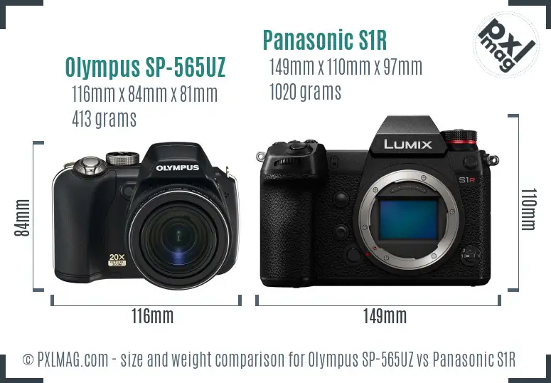 Olympus SP-565UZ vs Panasonic S1R size comparison