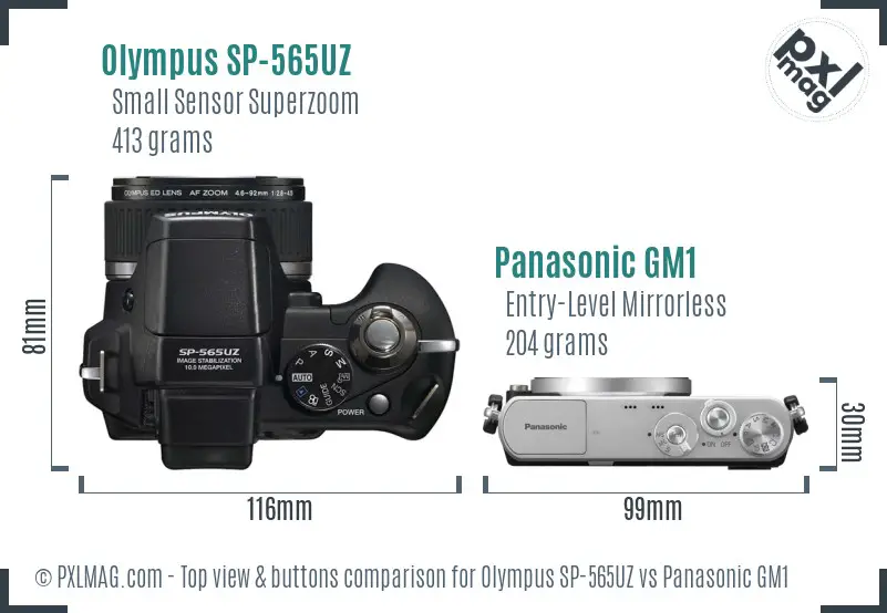 Olympus SP-565UZ vs Panasonic GM1 top view buttons comparison