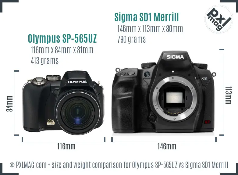 Olympus SP-565UZ vs Sigma SD1 Merrill size comparison