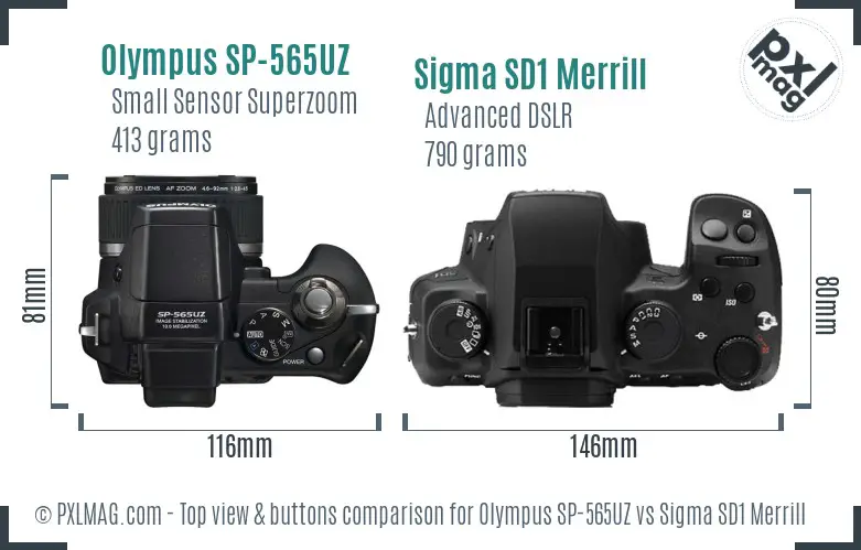 Olympus SP-565UZ vs Sigma SD1 Merrill top view buttons comparison