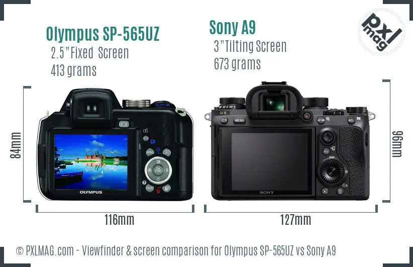 Olympus SP-565UZ vs Sony A9 Screen and Viewfinder comparison