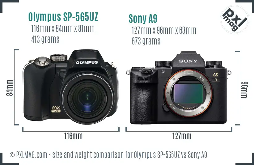 Olympus SP-565UZ vs Sony A9 size comparison