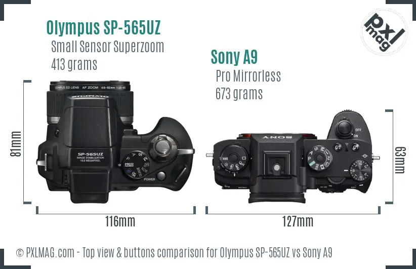 Olympus SP-565UZ vs Sony A9 top view buttons comparison