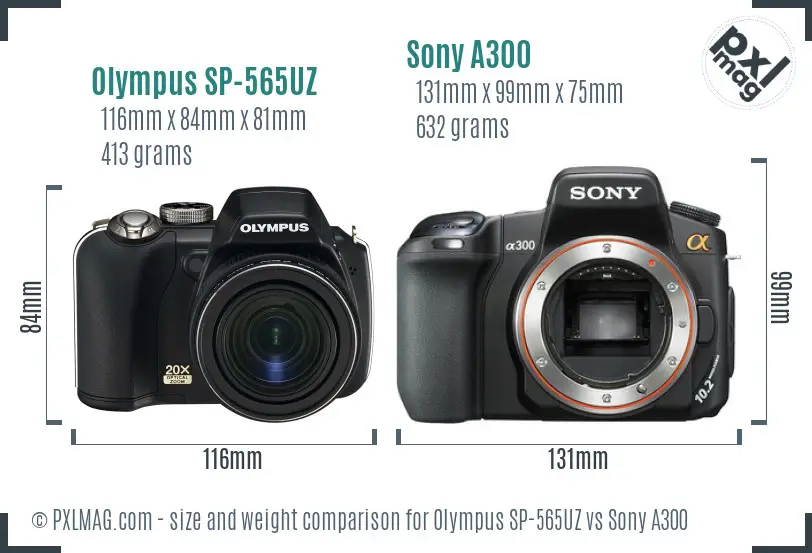 Olympus SP-565UZ vs Sony A300 size comparison Olympus SP-565UZ vs Sony A300 size comparison