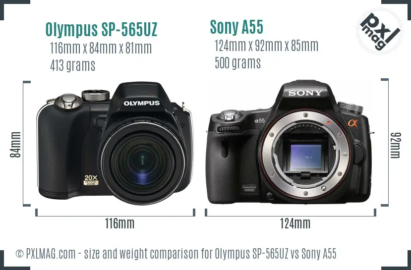 Olympus SP-565UZ vs Sony A55 size comparison