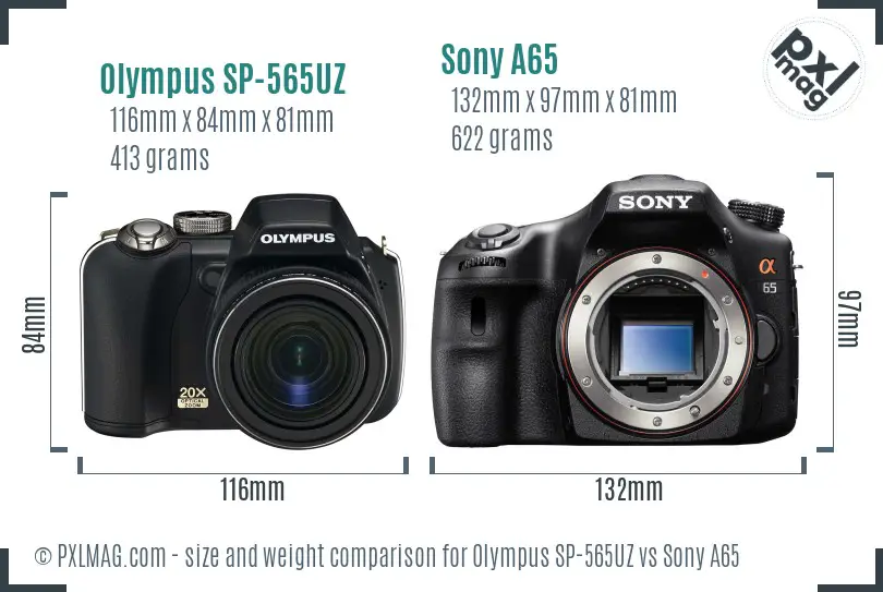 Olympus SP-565UZ vs Sony A65 size comparison