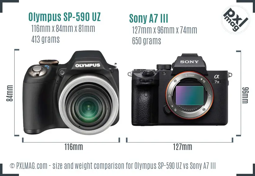 Olympus SP-590 UZ vs Sony A7 III size comparison Olympus SP-590 UZ vs Sony A7 III size comparison