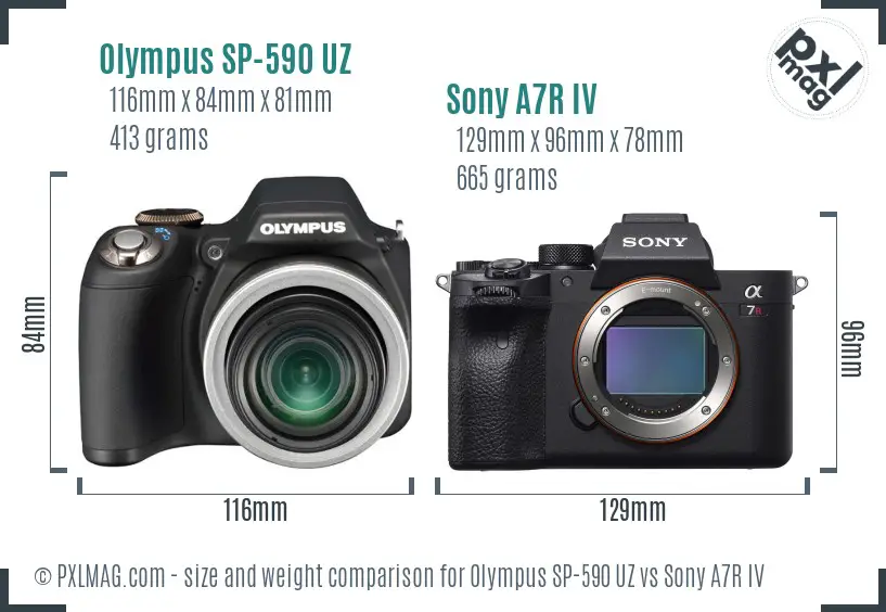 Olympus SP-590 UZ vs Sony A7R IV size comparison Olympus SP-590 UZ vs Sony A7R IV size comparison