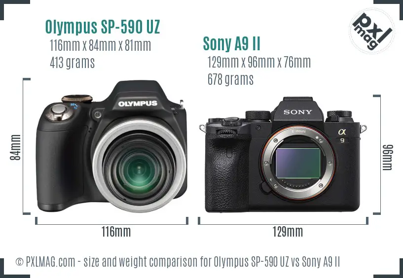 Olympus SP-590 UZ vs Sony A9 II size comparison