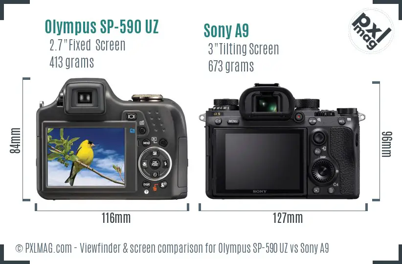 Olympus SP-590 UZ vs Sony A9 Screen and Viewfinder comparison