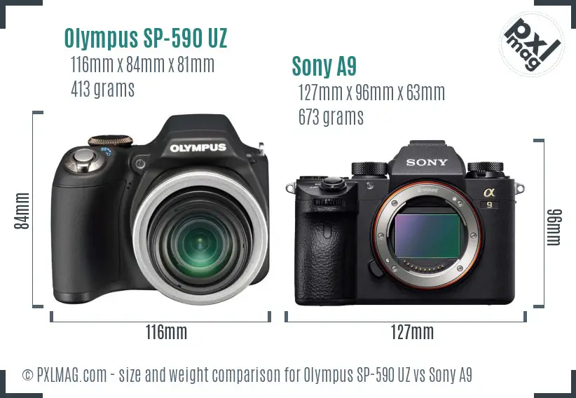 Olympus SP-590 UZ vs Sony A9 size comparison