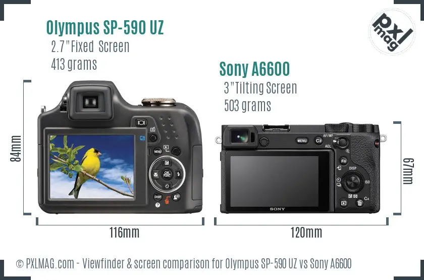 Olympus SP-590 UZ vs Sony A6600 Screen and Viewfinder comparison Olympus SP-590 UZ vs Sony A6600 Screen and Viewfinder comparison