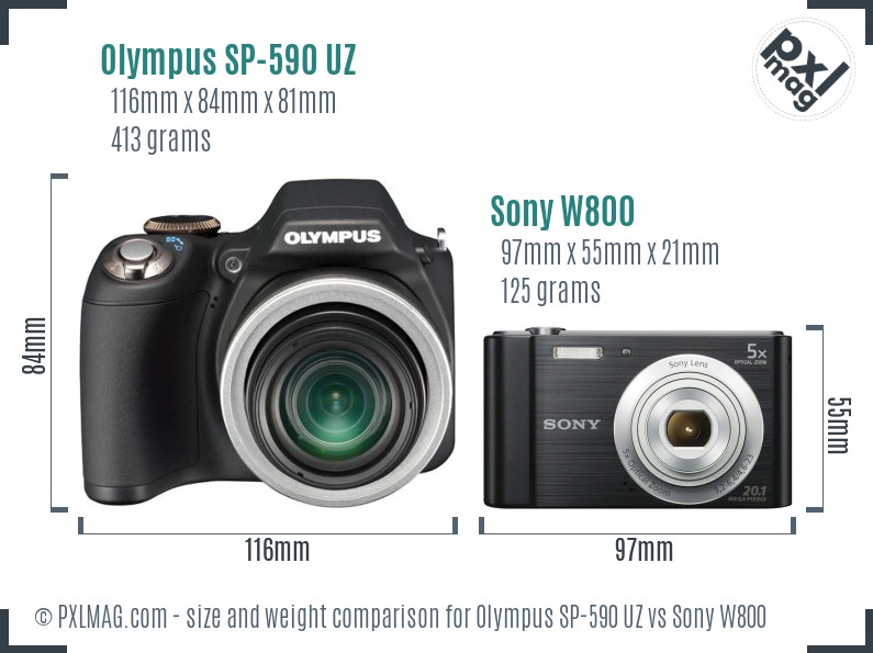 Olympus SP-590 UZ vs Sony W800 size comparison