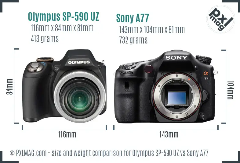 Olympus SP-590 UZ vs Sony A77 size comparison