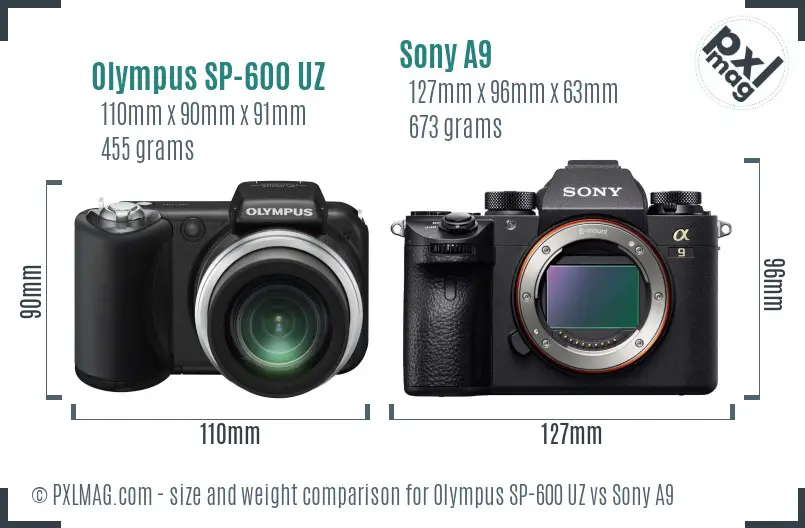 Olympus SP-600 UZ vs Sony A9 size comparison