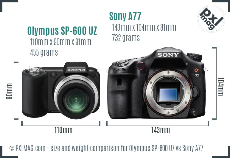 Olympus SP-600 UZ vs Sony A77 size comparison Olympus SP-600 UZ vs Sony A77 size comparison