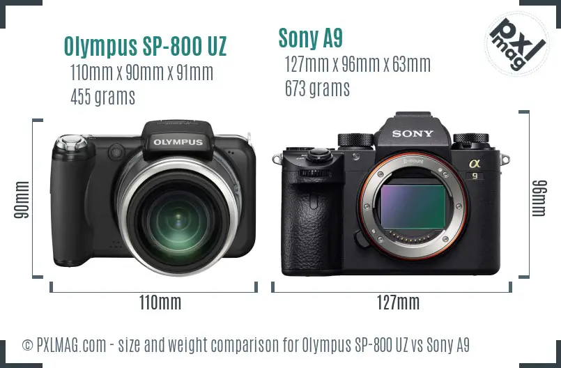 Olympus SP-800 UZ vs Sony A9 size comparison