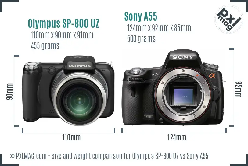 Olympus SP-800 UZ vs Sony A55 size comparison