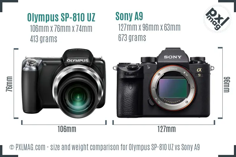 Olympus SP-810 UZ vs Sony A9 size comparison