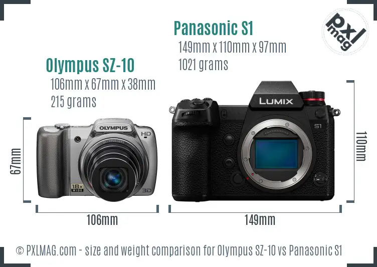 Olympus SZ-10 vs Panasonic S1 size comparison