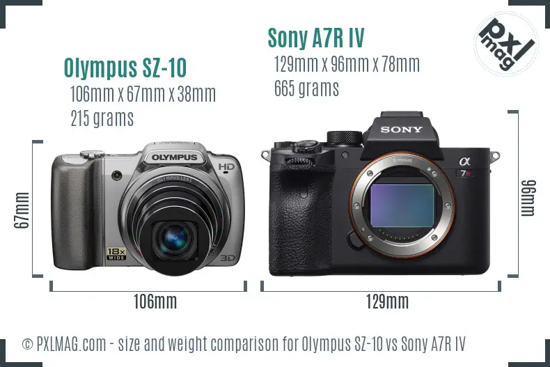 Olympus SZ-10 vs Sony A7R IV size comparison