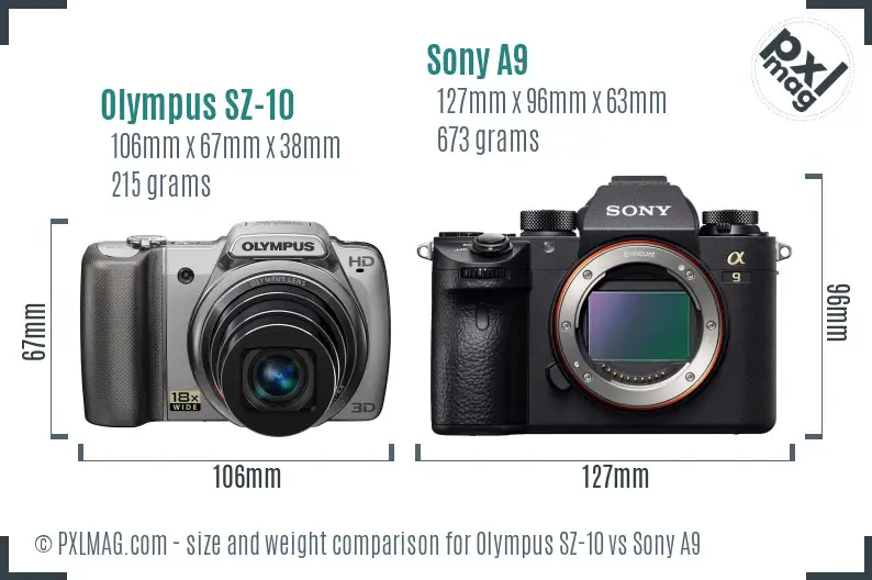 Olympus SZ-10 vs Sony A9 size comparison