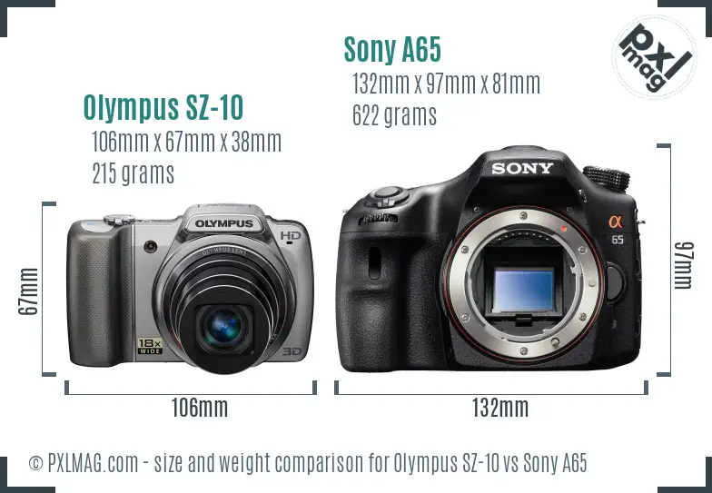 Olympus SZ-10 vs Sony A65 size comparison