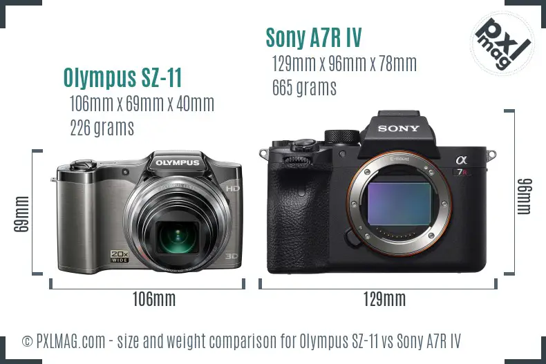 Olympus SZ-11 vs Sony A7R IV size comparison