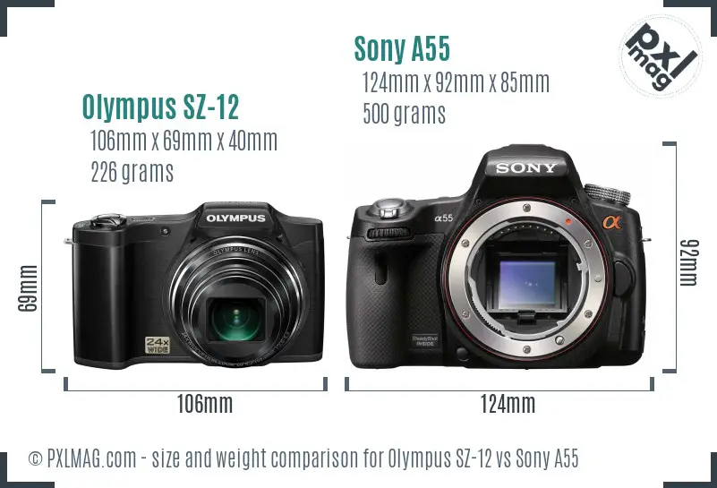 Olympus SZ-12 vs Sony A55 size comparison