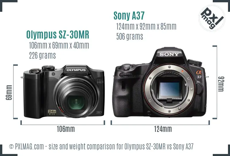 Olympus SZ-30MR vs Sony A37 size comparison