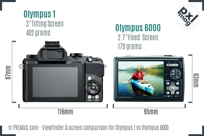 Olympus 1 vs Olympus 6000 Screen and Viewfinder comparison