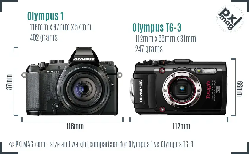 Olympus 1 vs Olympus TG-3 size comparison