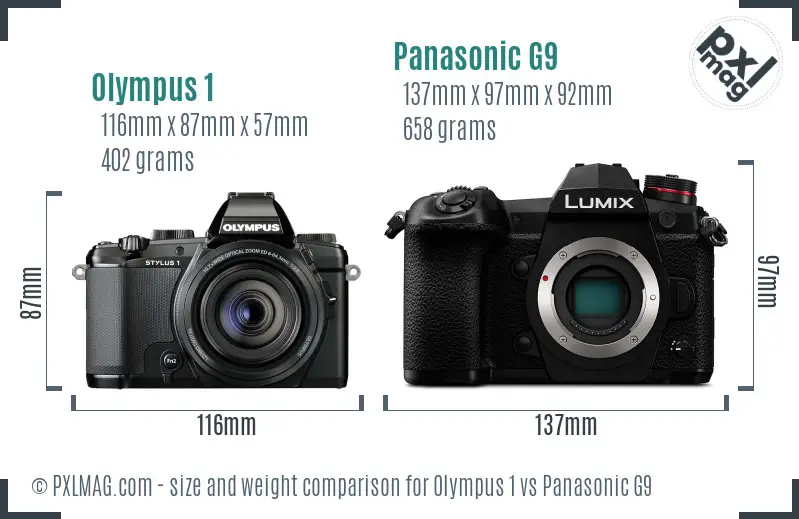 Olympus 1 vs Panasonic G9 size comparison