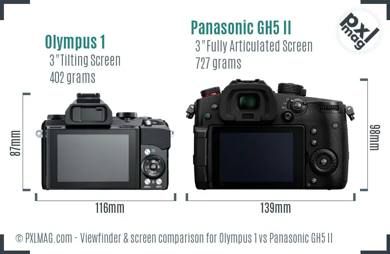Olympus 1 vs Panasonic GH5 II Screen and Viewfinder comparison Olympus 1 vs Panasonic GH5 II Screen and Viewfinder comparison