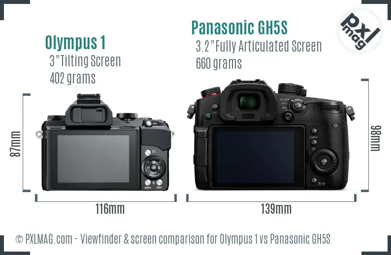 Olympus 1 vs Panasonic GH5S Screen and Viewfinder comparison