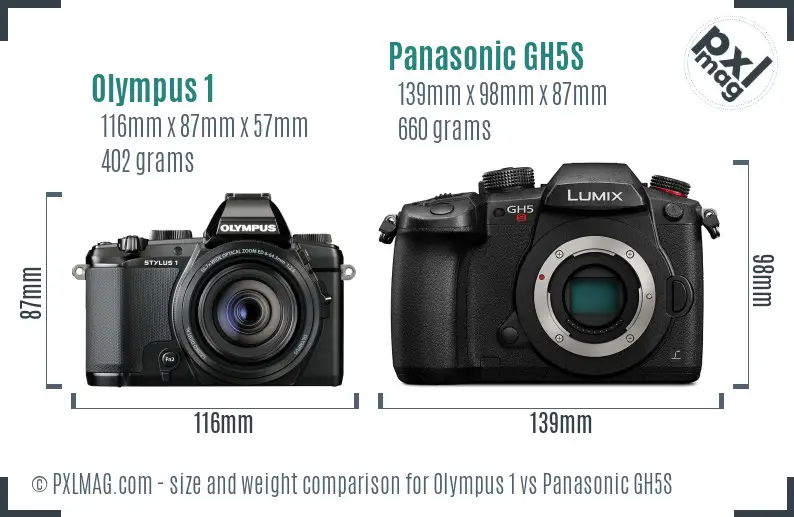 Olympus 1 vs Panasonic GH5S size comparison